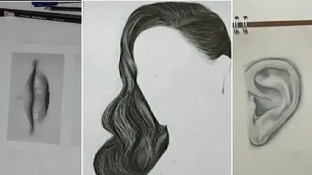 Basic And Comprehensive Tutorial Of Facial Components Sketch