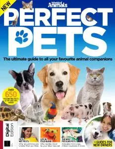 World of Animals: Perfect Pets (2019)