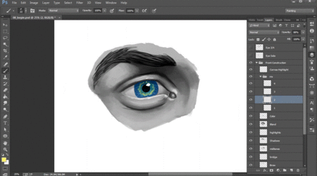 Drawing the Human Eye in Photoshop