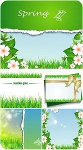 Spring vector backgrounds , flowers, grass