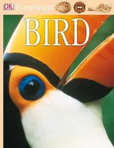 Bird (DK Eyewitness Books) [repost]