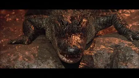 Flight of the Intruder (1991)