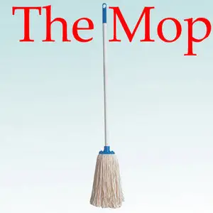 The Mop 5.0.17.0 ML Portable