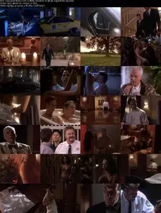 The First 9 1/2 Weeks (1998)