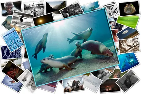 National Geographic Photo Contest 2011