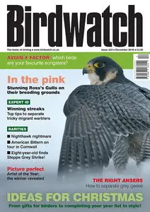 BirdWatch Magazine December 2010