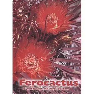 Ferocactus