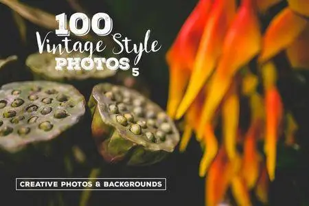 CreativeMarket - 100 Vintage Style Photos v.5
