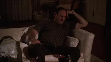 The Sopranos S01E11