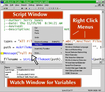 WinBatch+Compiler v2008C