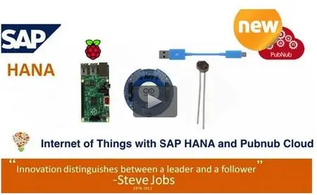 Udemy - SAP HANA Internet of Things(IoT):Raspberry, Uno, PubNub, UI5