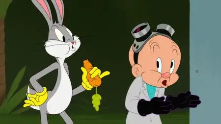 Looney Tunes Cartoons S03E14