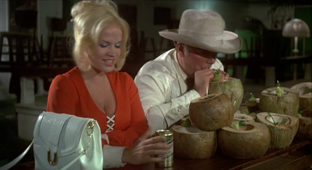 Sixpack Annie (1975) 