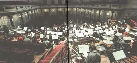 Fink & The Royal Concertgebouw Orchestra - Live in Concert (2013) {Ninja Tune ZENCD201}