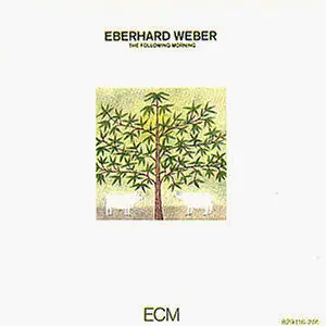 Image result for weber following morning
