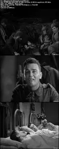 All Quiet On The Western Front (1930)