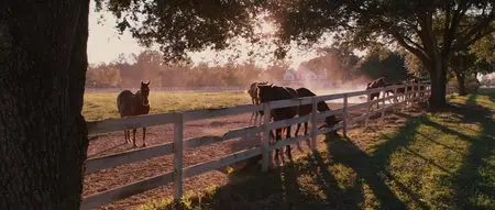 Secretariat (2010)