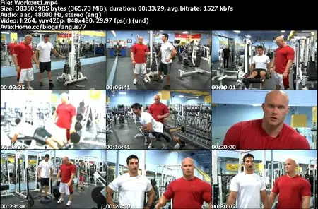 Hypertrophy MAX - Phases #1-5