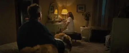 A Dog's Journey (2019)