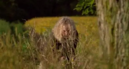 The Cradle (2007)