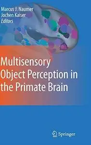 Multisensory Object Perception in the Primate Brain