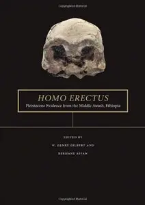Homo erectus: Pleistocene Evidence from the Middle Awash, Ethiopia