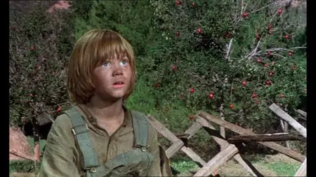 Walt Disney Classics. DVD26: Pete's Dragon (1977)