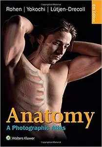 Anatomy: A Photographic Atlas (8th Edition) (Repost)