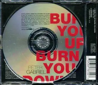 Peter Gabriel - Burn You Up, Burn You Down (2003)