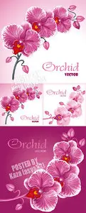 Orchid vector