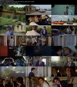Fear Is the Key (1972)