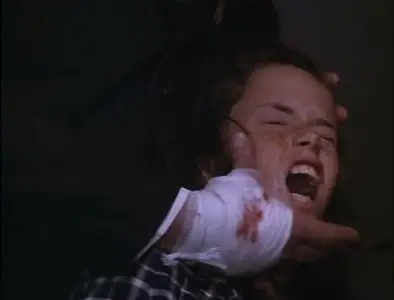 Poslední motýl / The Last Butterfly (1991)