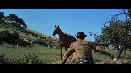 Gun for a Coward (1956)