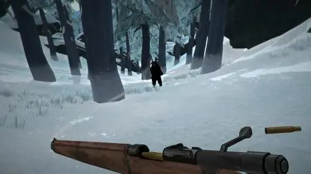 The Long Dark (2017)