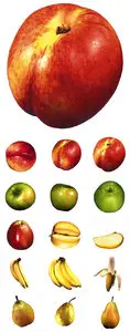 ClipArt - Camera lens. Fruit (Part 1)