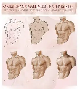 Sakimichan Male muscle step by step tutorial