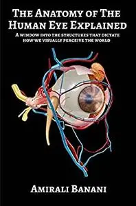 The Anatomy of The Human Eye Explained: A window into the structures that dictate how we visually perceive the world