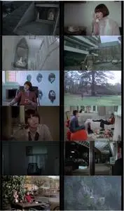 The Romantic Englishwoman (1975)