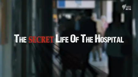 Secret Life Of The Hospital (2018)