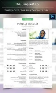 GraphicRiver The Simplest CV