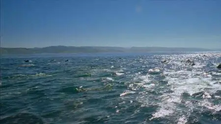 Journey with Dylan Dreyer S02E13