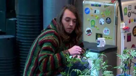 Disjointed S01E01