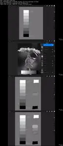 Digitally Painting Light and Color: Amateur to Master