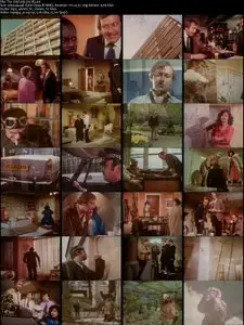 The Odd Job (1978)