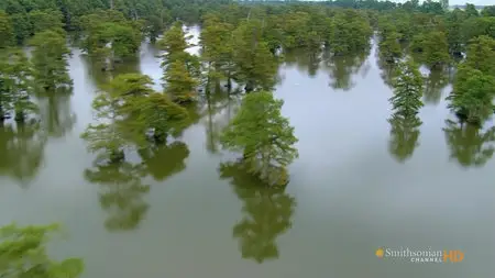 Aerial America part7. Arkansas