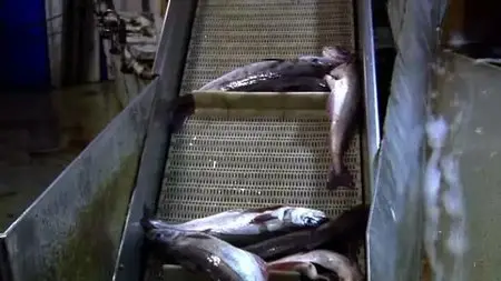 BBC - Trawlermen Series 2 (2010)