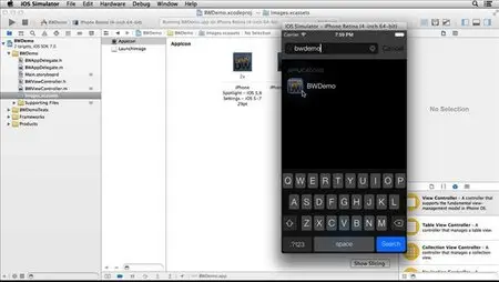Lynda - Distributing iOS Applications Through the App Store
