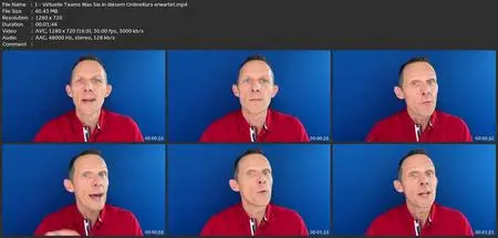 Virtuelle Teams Profitipps - Führen Und Arbeiten Auf Distanz