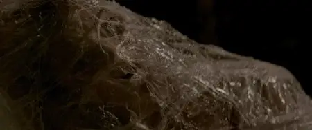 Silent Hill: Revelation (2012)