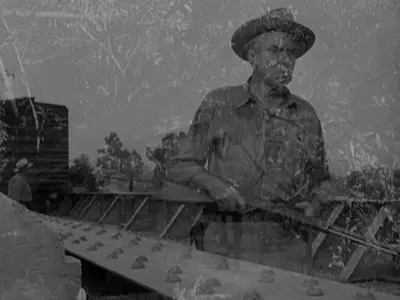 Cry of the Hunted (1953)